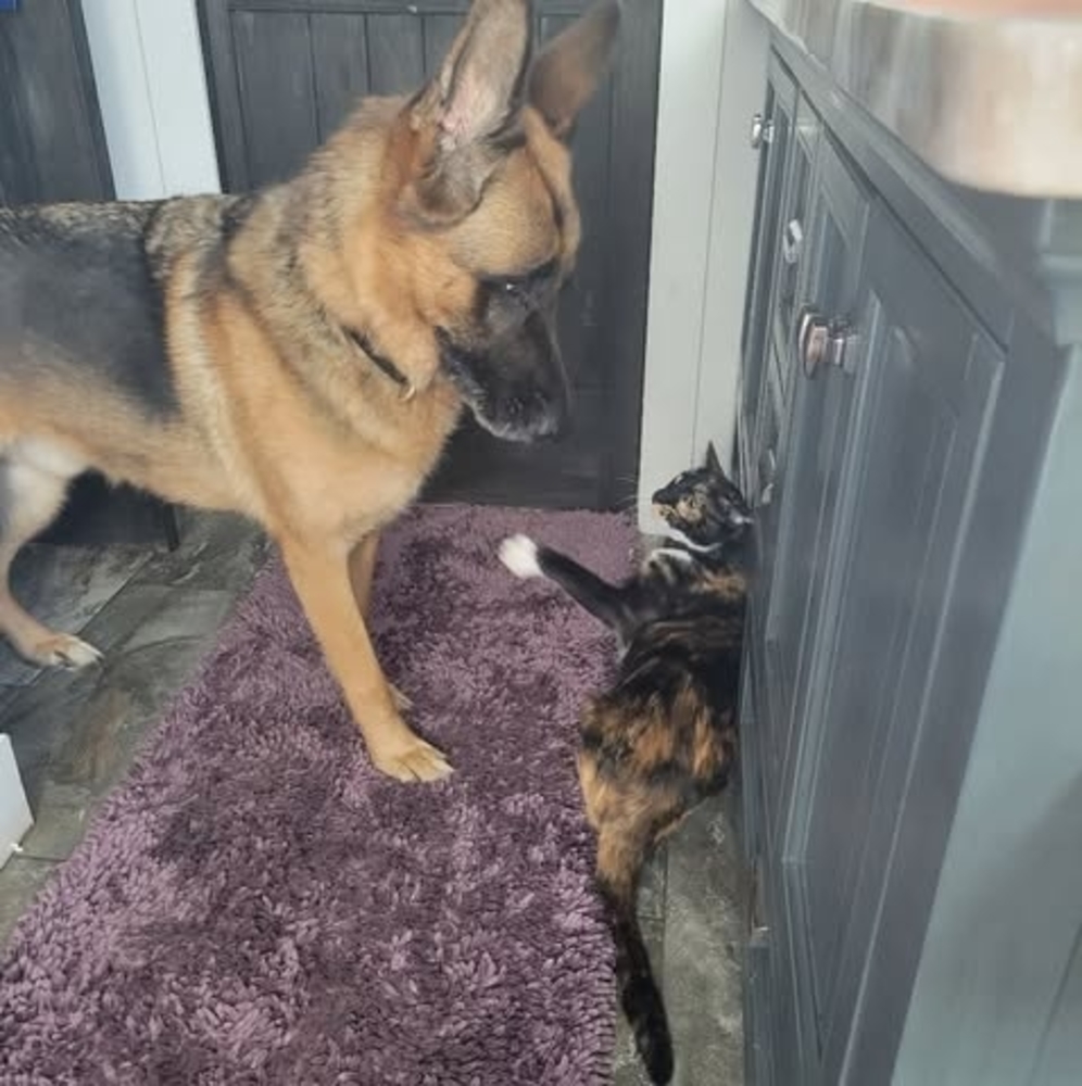 Meet your Posher, Vicki